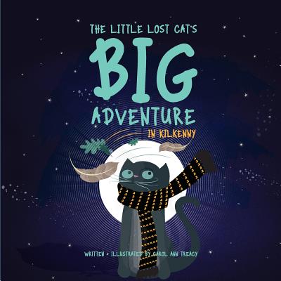The Little Lost Cat’s Big Adventure in Kilkenny