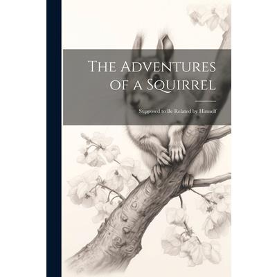 The Adventures of a Squirrel