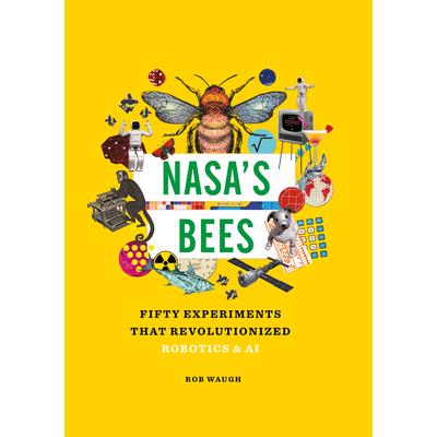 Nasa’s Bees