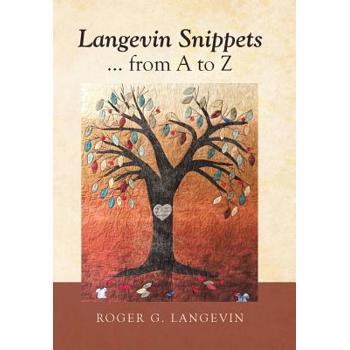 Langevin Snippets from a to Z