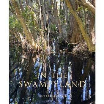 In the Swampyland