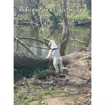 Adventures with Zo矇