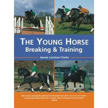 The Young Horse