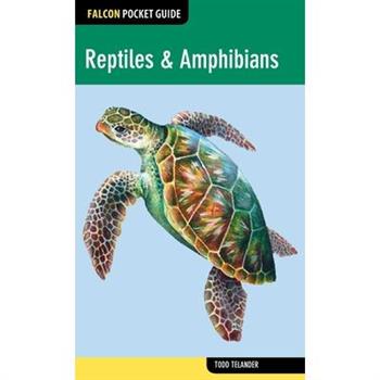 Reptiles & Amphibians