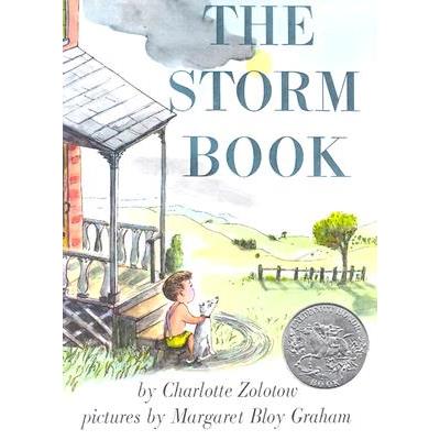The Storm Book