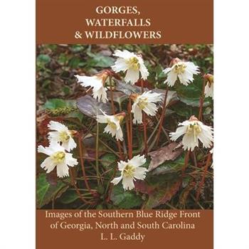 Gorges, Waterfalls, and Wildflowers