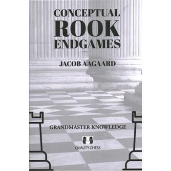 Conceptual Rook Endgames