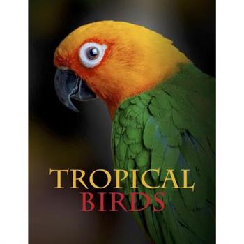 Tropical Birds