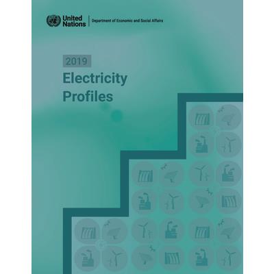 2019 Electricity Profiles