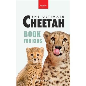 Cheetahs