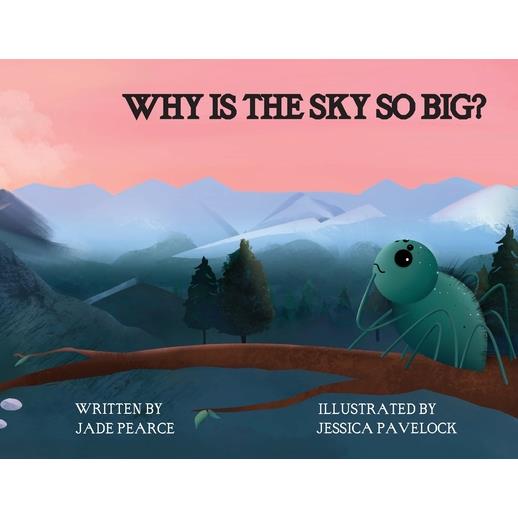 Why Is the Sky So Big?