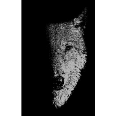 In the Company of Wolves