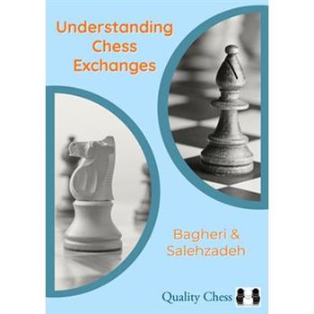 Understanding Chess Exchanges