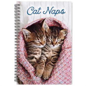 Cat Naps