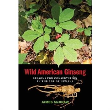 Wild American Ginseng