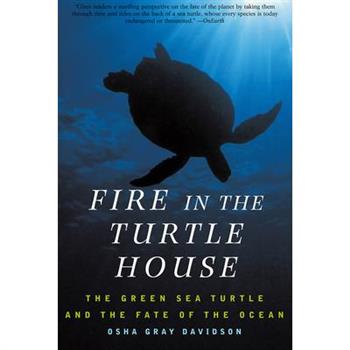 Fire in the Turtle House