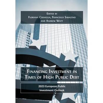 Financing Investment in Times of High Public Debt