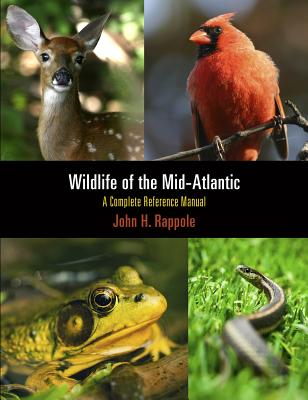 Wildlife of the Mid-atlantic