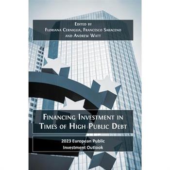 Financing Investment in Times of High Public Debt