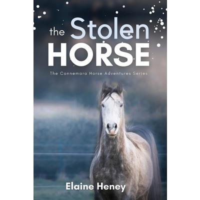 The Stolen Horse - Book 4 in the Connemara Horse Adventure Series for Kids The Perfect Gift for Children age 8-12