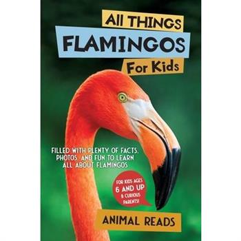 All Things Flamingos For Kids