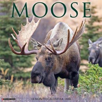 Moose 2026 12 X 12 Wall Calendar