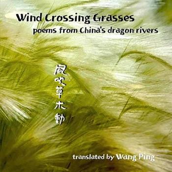 Wind Crossing Grasses