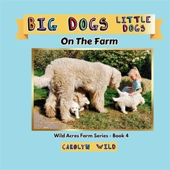 Big Dogs Little Dogs