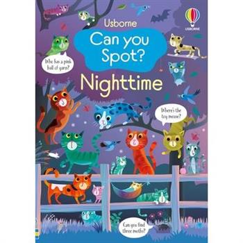 Can You Spot? Nighttime