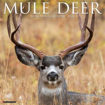 Mule Deer 2026 12 X 12 Wall Calendar
