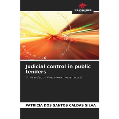 Judicial control in public tenders