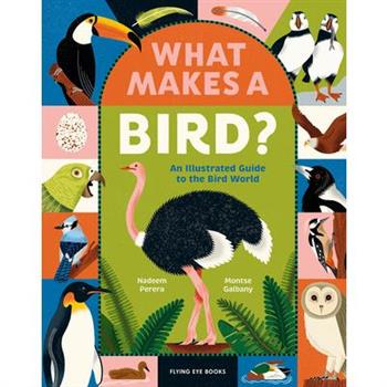 What Makes a Bird?: An Illustrated Guide to the Bird World