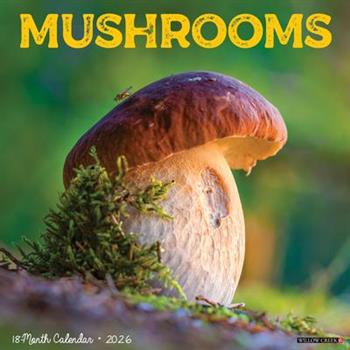 Mushrooms 2026 12 X 12 Wall Calendar