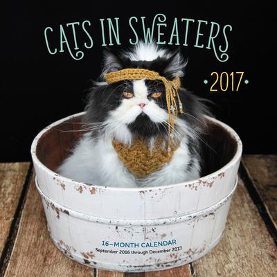 Cats in Sweaters 2017 Calendar