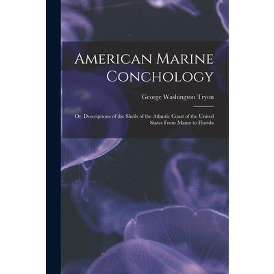 American Marine Conchology