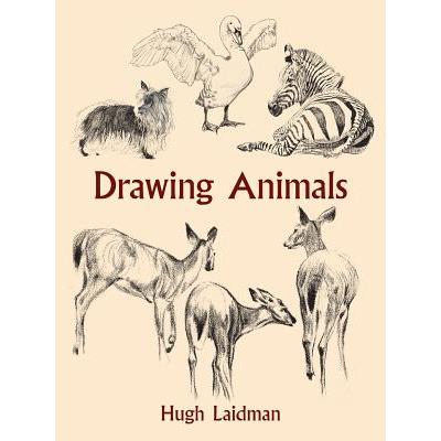 Drawing Animals