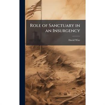 Role of Sanctuary in an Insurgency