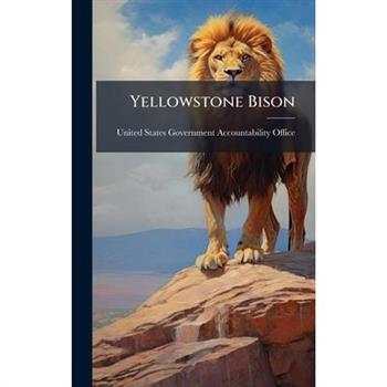 Yellowstone Bison