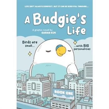 A Budgie’s Life