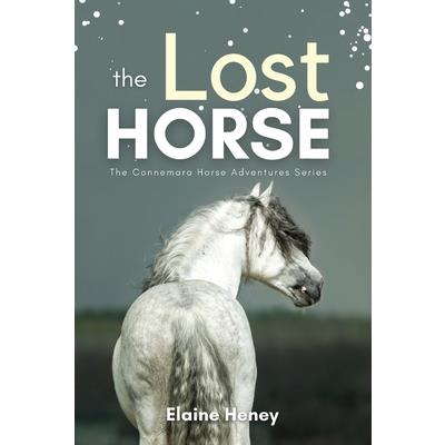 The Lost Horse - Book 6 in the Connemara Horse Adventure Series for Kids