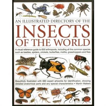 An Illustrated Directory of the Insects of the World