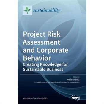 Project Risk Assessment and Corporate Behavior