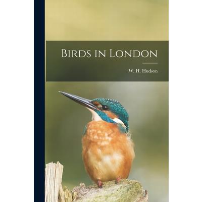 Birds in London