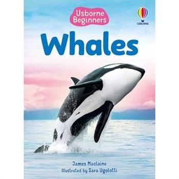 Beginners Whales