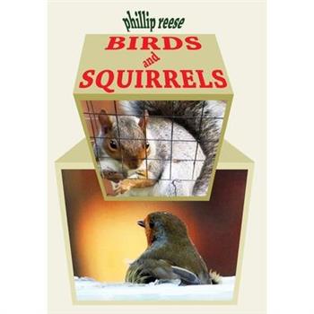 BIRDS and SQUIRRELS