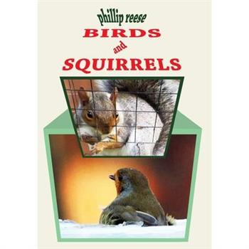 BIRDS and SQUIRRELS BIRDS and SQUIRRELS
