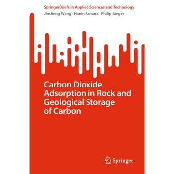 Carbon Dioxide Adsorption in Rock and Geological Storage of Carbon