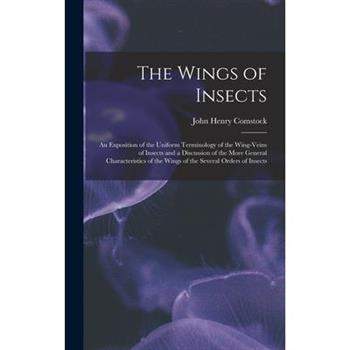 The Wings of Insects