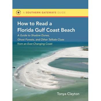 How to Read a Florida Gulf Coast Beach