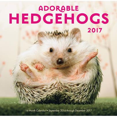 Adorable Hedgehogs 2017 Calendar
